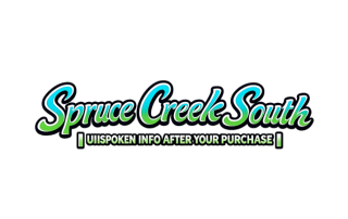 Spruce Creek South | Unspoken Info After Your Purchase