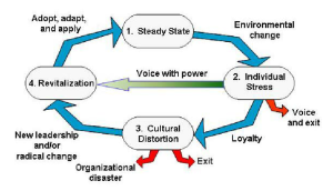Stages of a Revitalization Process